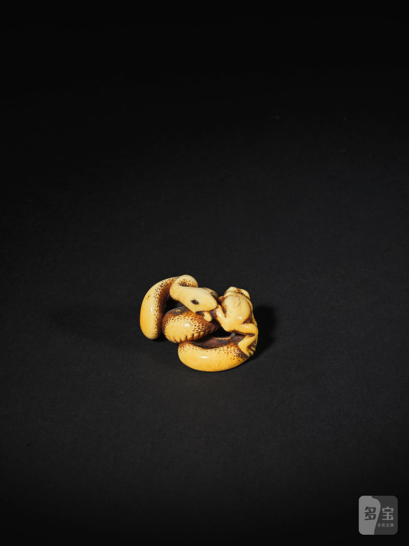 象牙彫根付 蛇蛙 銘「玉陽齋」 19世紀中期 | NETSUKE EN IVOIRE REPRÉSENTANT UN SERPENT ATTRAPANT UN CRAPAUD - 图4